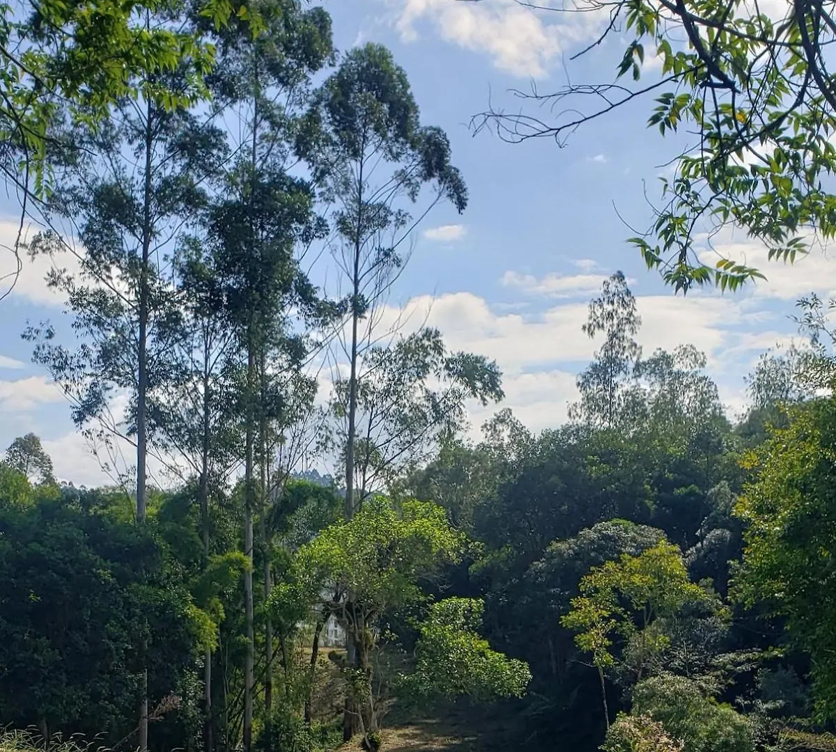 Casa De Campo Sitio Vo Jaime Lauro Muller Willa
